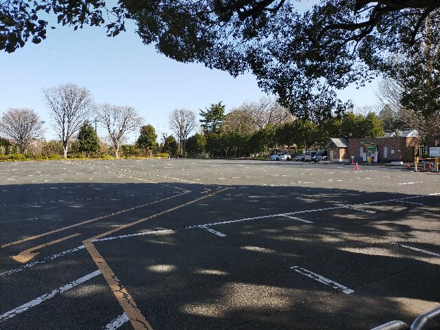 神代植物公園第一駐車場